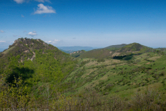 IMG_7350