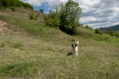 IMG_7484
