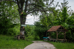 Botevgrad-2021_021