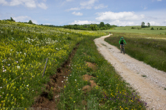 Botevgrad-2021_031