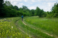 Botevgrad-2021_072