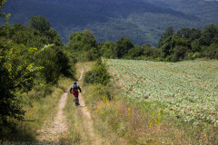 Botevgrad-2021_103