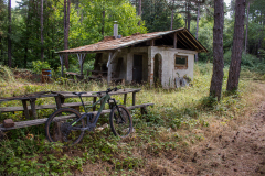 Botevgrad-2021_148