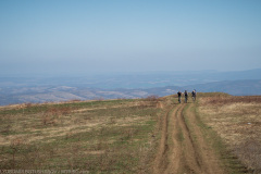 IMG_2089