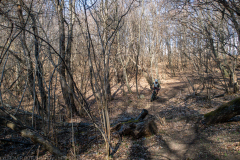 IMG_5969