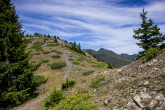 IMG_0029