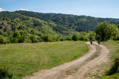 IMG_2011