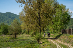 IMG_2036