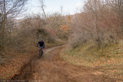 IMG_6419
