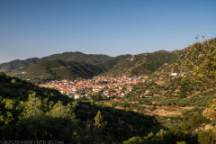 IMG_4206
