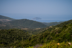 IMG_4238