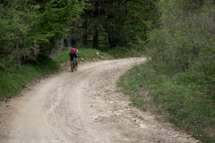 IMG_7533
