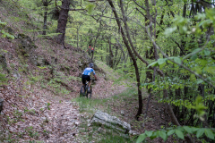 IMG_9509-6