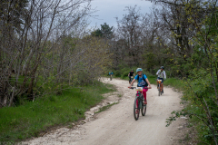 IMG_9707