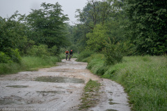 IMG_3472