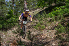 IMG_1201