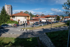 IMG_1355