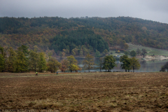 strelcha-2021_021
