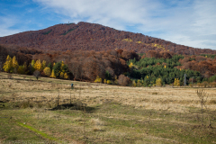 strelcha-2021_047