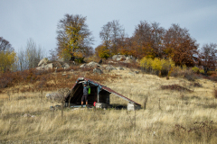 strelcha-2021_068
