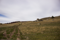strelcha-2021_073