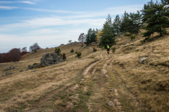 strelcha-2021_080