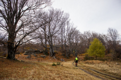 strelcha-2021_090