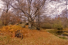 strelcha-2021_106