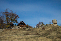 strelcha-2021_114