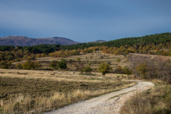 strelcha-2021_136