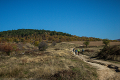 strelcha-2021_157