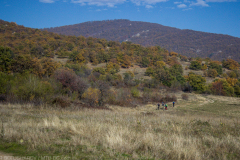 strelcha-2021_208