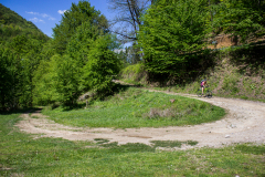 IMG_8040