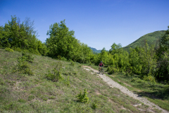 IMG_8219