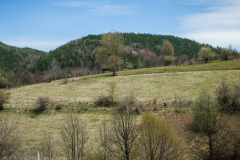 P4187134