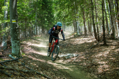 P8049538