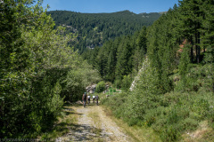 IMG_4600