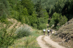 IMG_4760