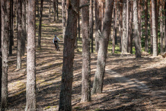 IMG_4810