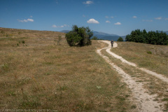 IMG_4851