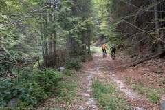 IMG_5001