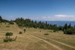 IMG_5030