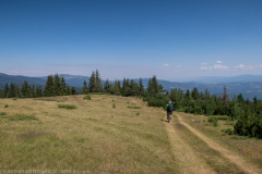 IMG_5035