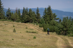 IMG_5036