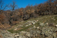 P2263737