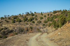 P2053576