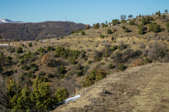 P2053578