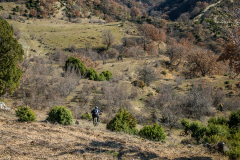 P2053585