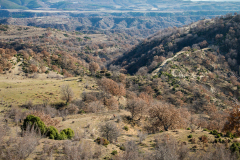 P2053587