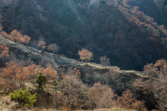 P2053589